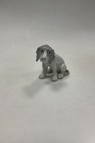 Heubach Porcelæn Figur af Hund