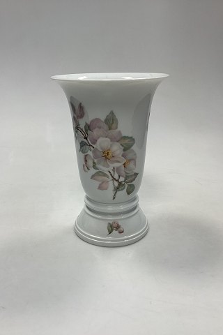 Rosenthal & Meissen