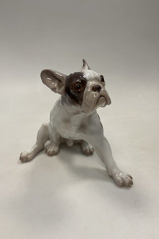 Bing og Grøndahl Figur Fransk Bulldog No. 2000