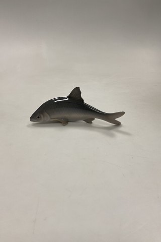 Royal Copenhagen Figur af Fisk Skalle No. 2494