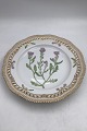 Royal Copenhagen Flora Danica tallerken med gennembrudt kant No 20/3553 eller 
637