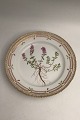 Royal Copenhagen Flora Danica Frokosttallerken No. 20/3550